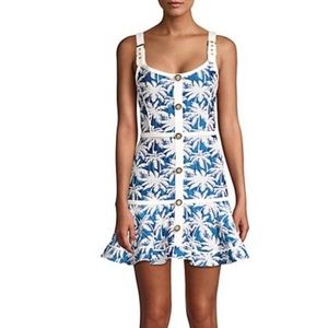 ALEXIS Lisel Palm Print Dress
